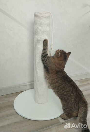 Когтеточка для кошек