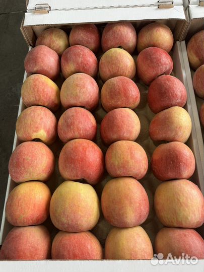 Яблоки оптом