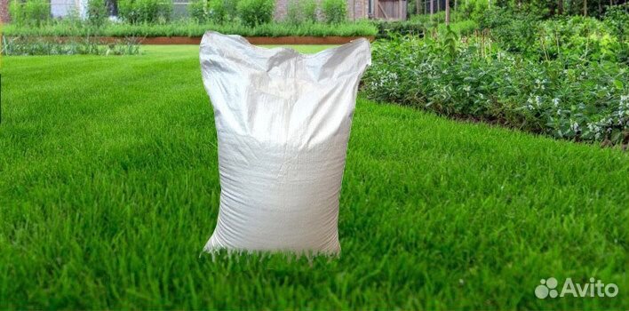 Семена газонных трав