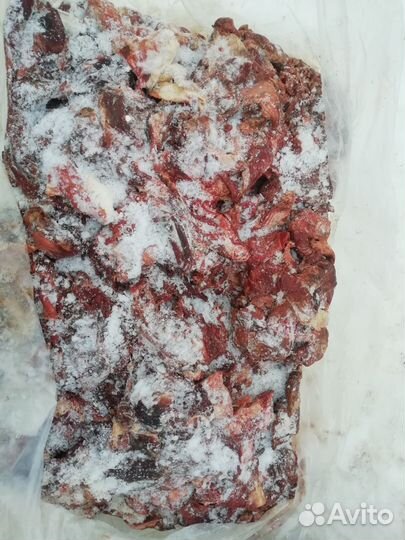 Мясо говядина для собак