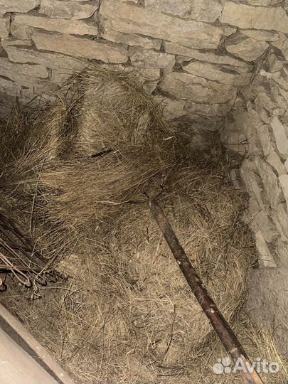 Сено в тюках