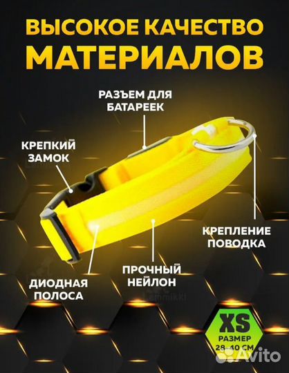 Светящийся ошейник