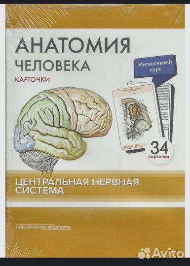 Карточки по анатомии цнс