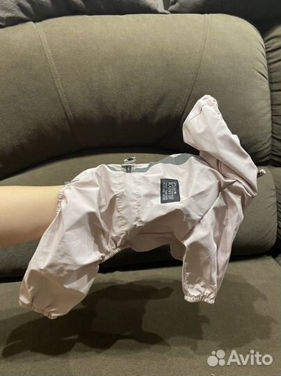 Костюм для собаки