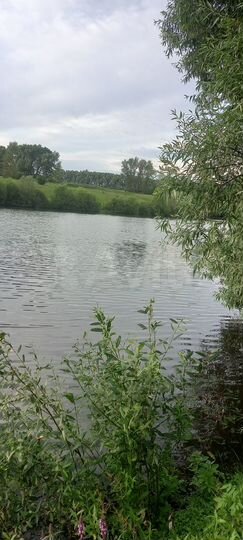 Участок 5 га (СНТ, ДНП)