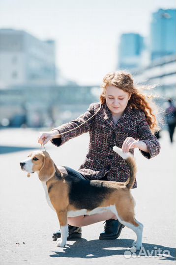 Хендлер. Выезд по Москве