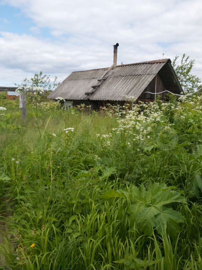 Дом 48 м² на участке 30 сот.