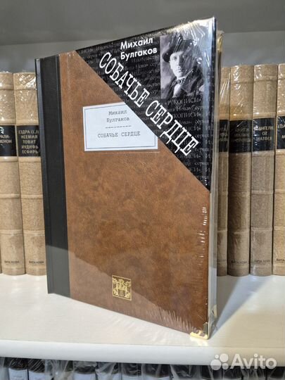 Мастер и Маргарита. Собачье сердце