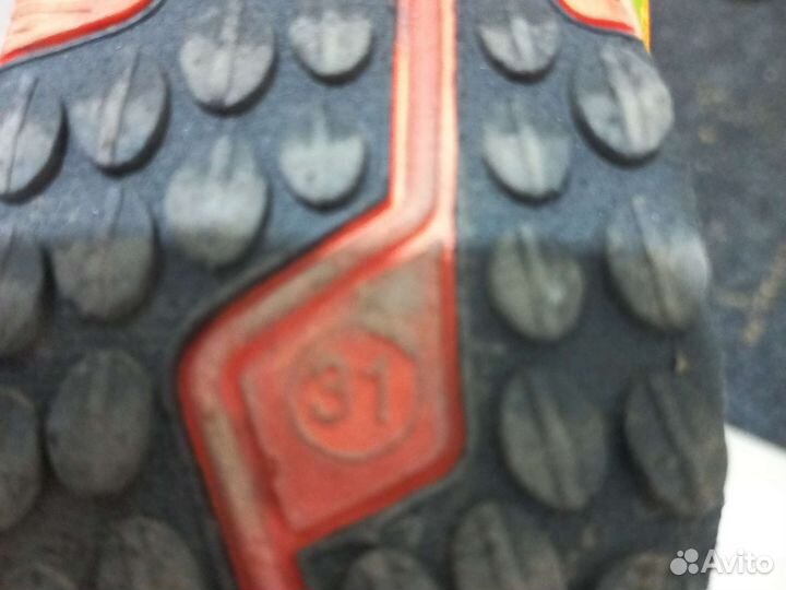 Сороконожки