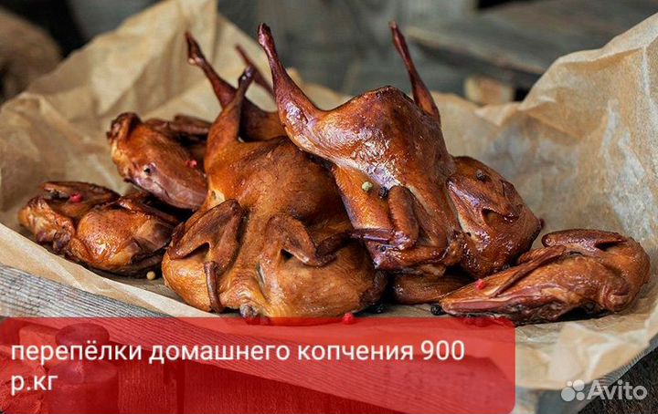 Домашняя перепела забой по заказ