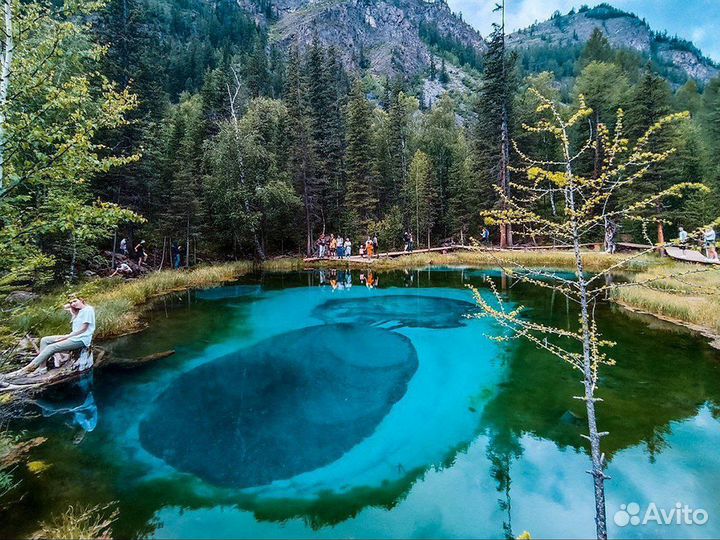 Авторские туры