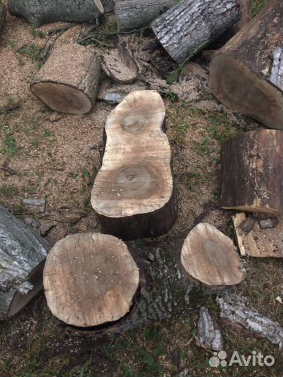 Спил деревьев