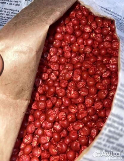 Семена кукурузы