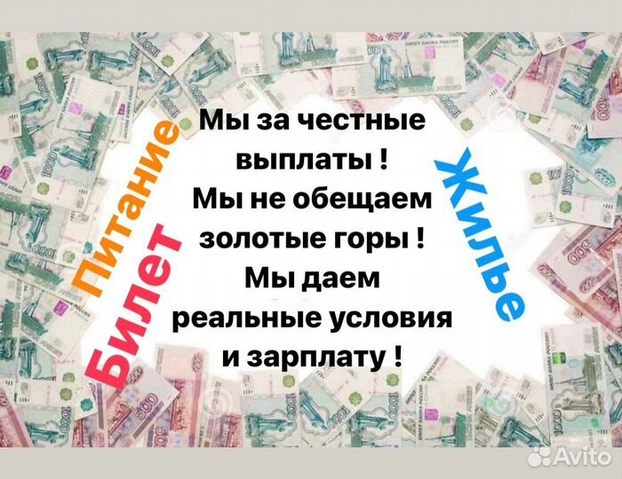 Работа вахтой упаковщик чая без опыта от 15 смен