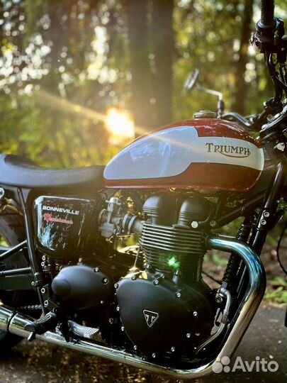Triumph Bonneville t100