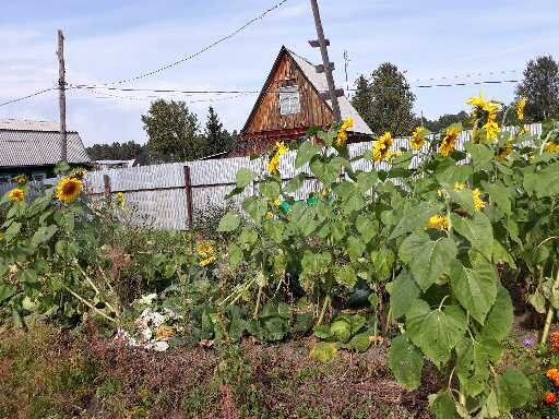 Дача 20 м² на участке 6 сот.