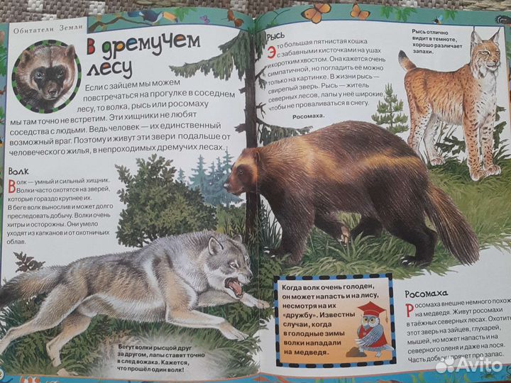 Энциклопедия для самых маленьких