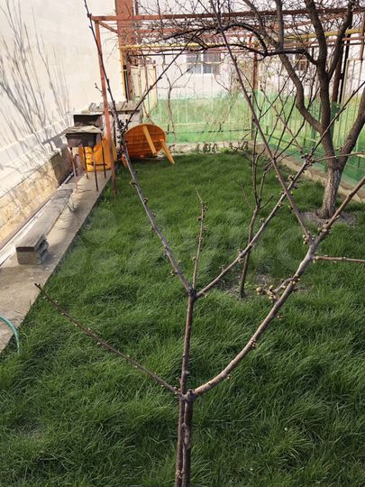 3-к. квартира, 96 м², 2/4 эт.