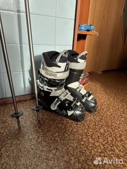 Горные лыжи