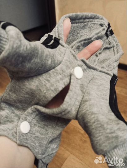 Костюм для собаки