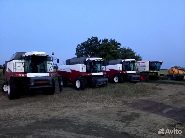 Уборка урожая 2024