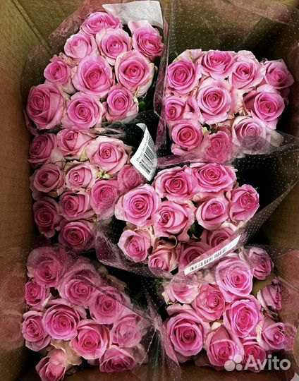 Цветы розы оптом