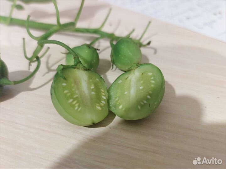 Семена картофеля