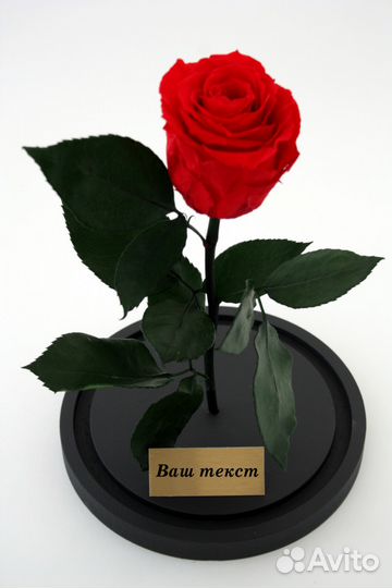 Роза в колбе во Владимире. В наличие