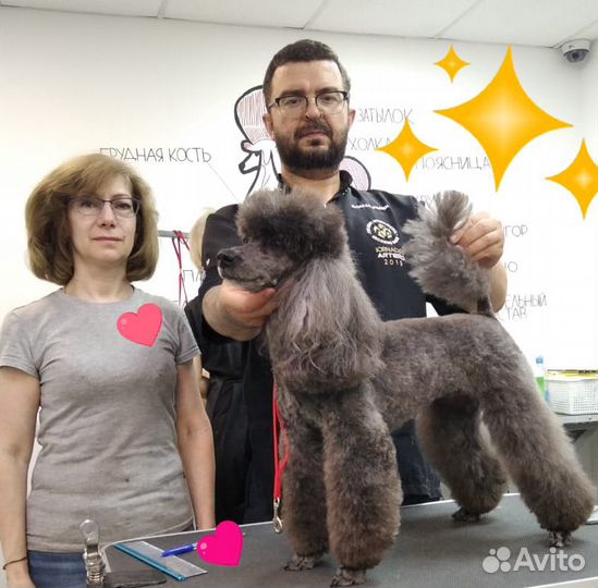 Грумер, груминг