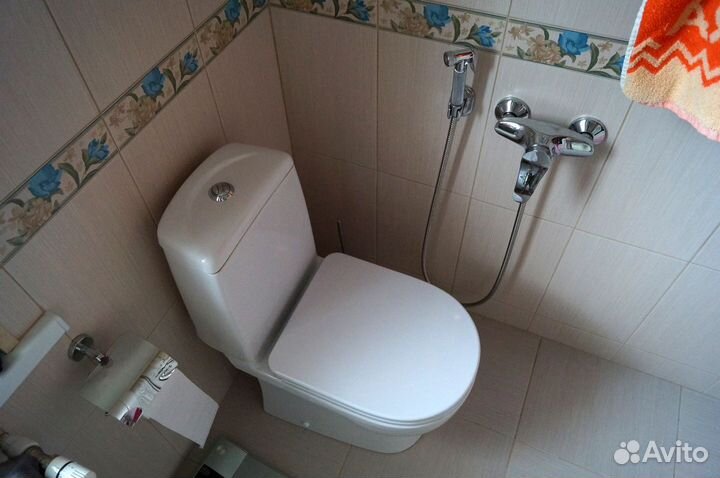 Сантехник. Не фирма. Унитаз, вана, душ, смесители