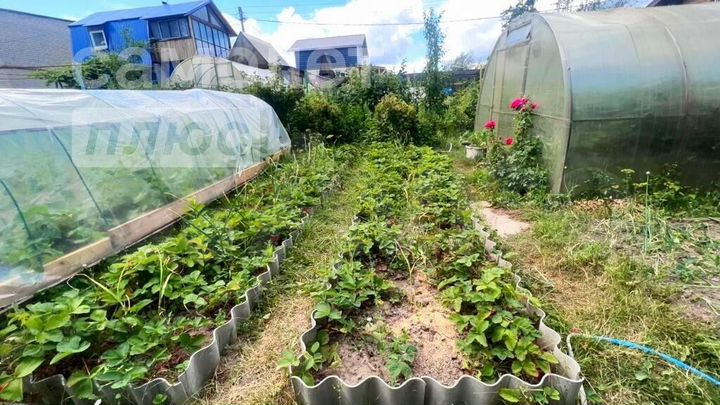 Дача 56 м² на участке 3,9 сот.