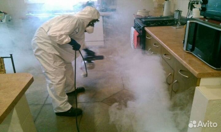 Средство для Уничтожения клопов травля тараканов дезинфекции