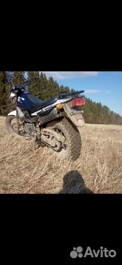 Десна 220 фантом