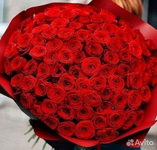 101 роза цветы букеты доставка 25 51 101 роза