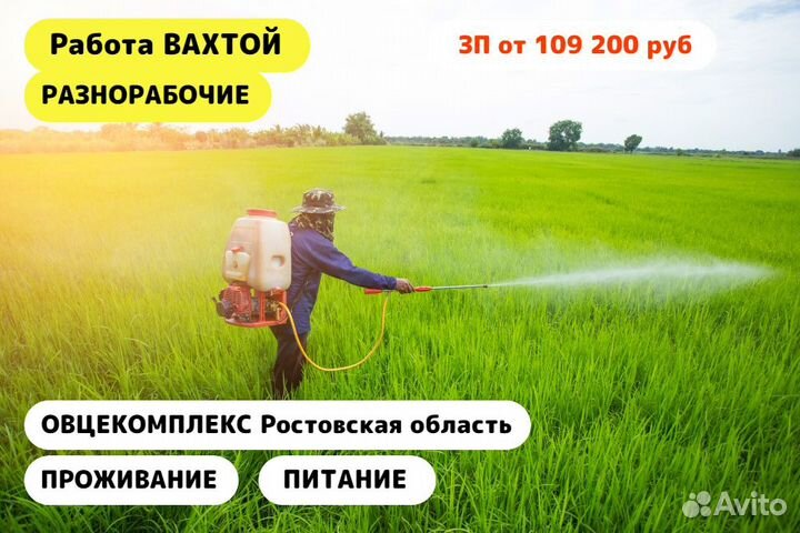 Вахта в Ростовской обл / Разнорабочие/Овцекомплекс