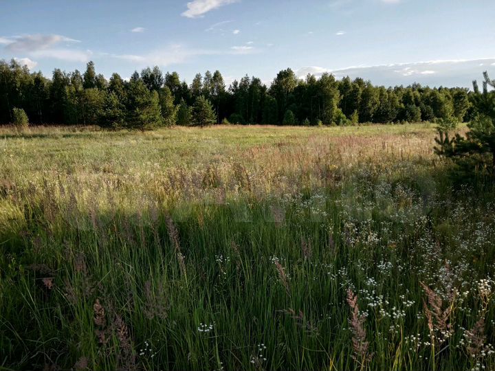 Участок 16,2 га (ИЖС)