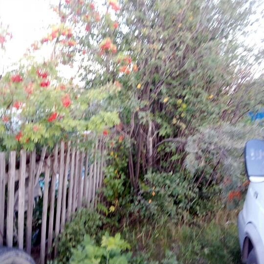 Участок 6 сот. (СНТ, ДНП)