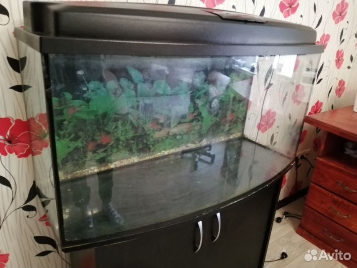 Аквариум 180л с тумбочкой