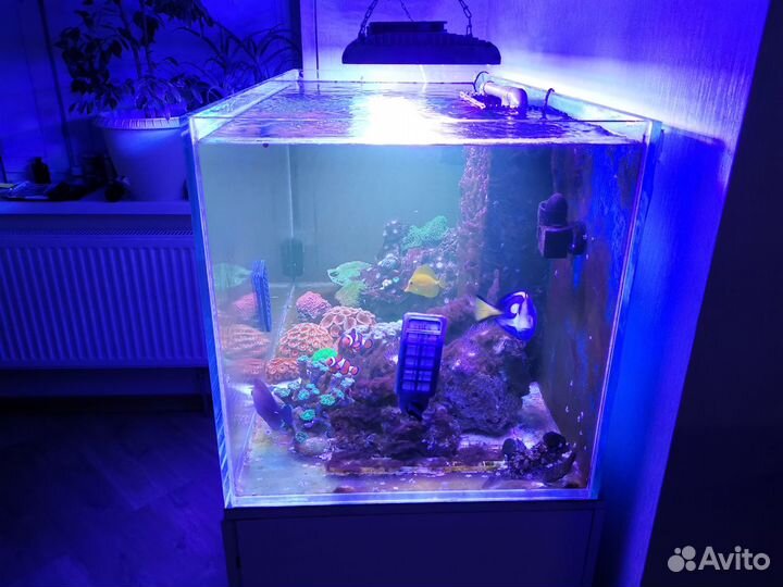 Морской аквариум 360 литров