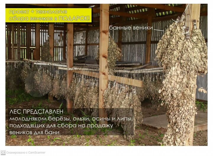 Участок 100 сот. (СНТ, ДНП)