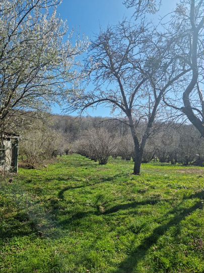 Участок 15 сот. (ИЖС)