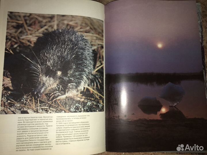 Книга Мещерская Сторона