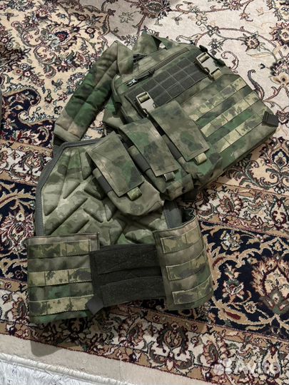 Плитник панцирь