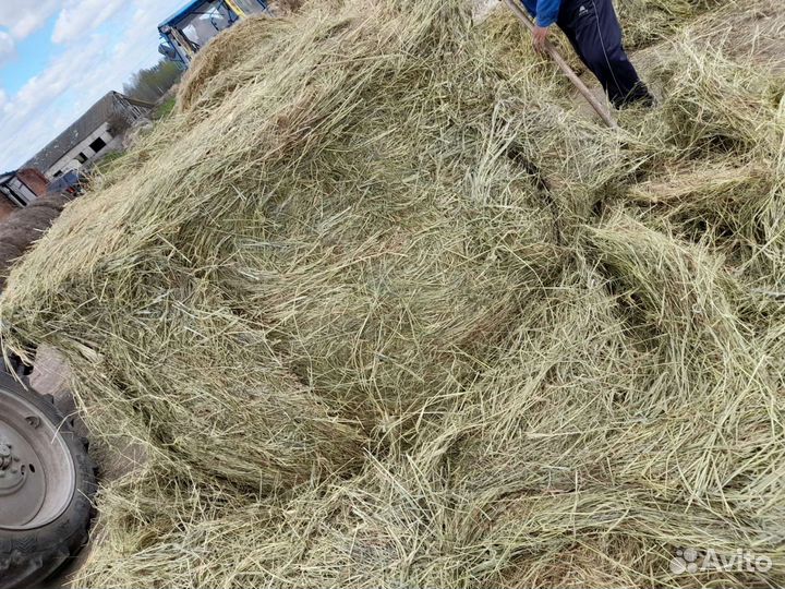 Сено для животных арт. Chhv 00010