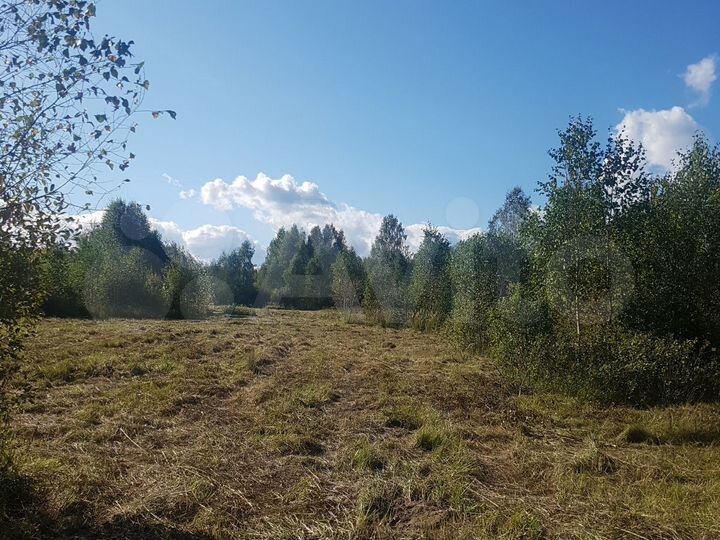 Участок 6 га (СНТ, ДНП)