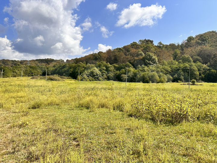 Участок 1,3 га (СНТ, ДНП)