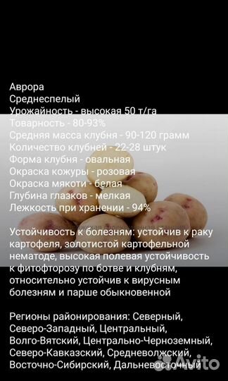 Семенной картофель