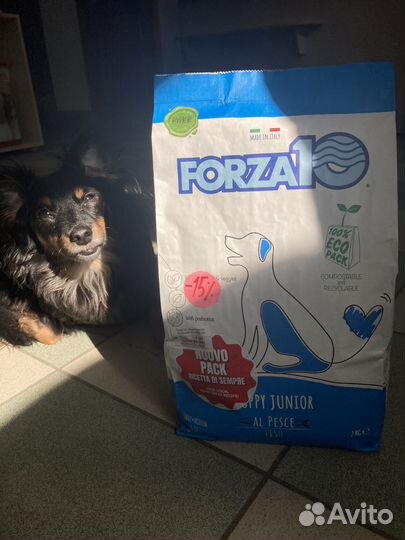 Корм для кошек