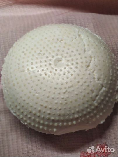 Козье молоко, творог, сыр