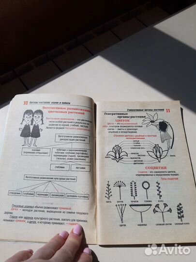 Учебные пособия 